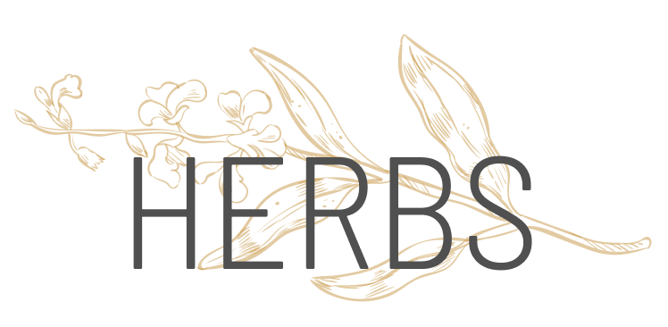 herbsjs logo